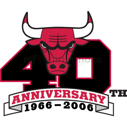Chicago Bulls T-shirts Iron On Transfers N937